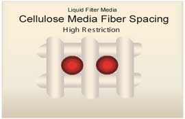 Cellulose Media
